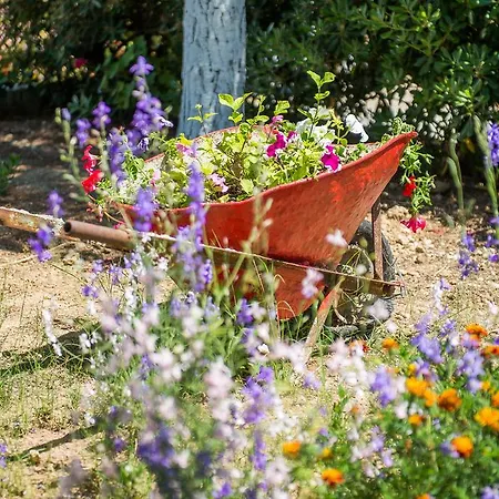 Apartamento Blue House